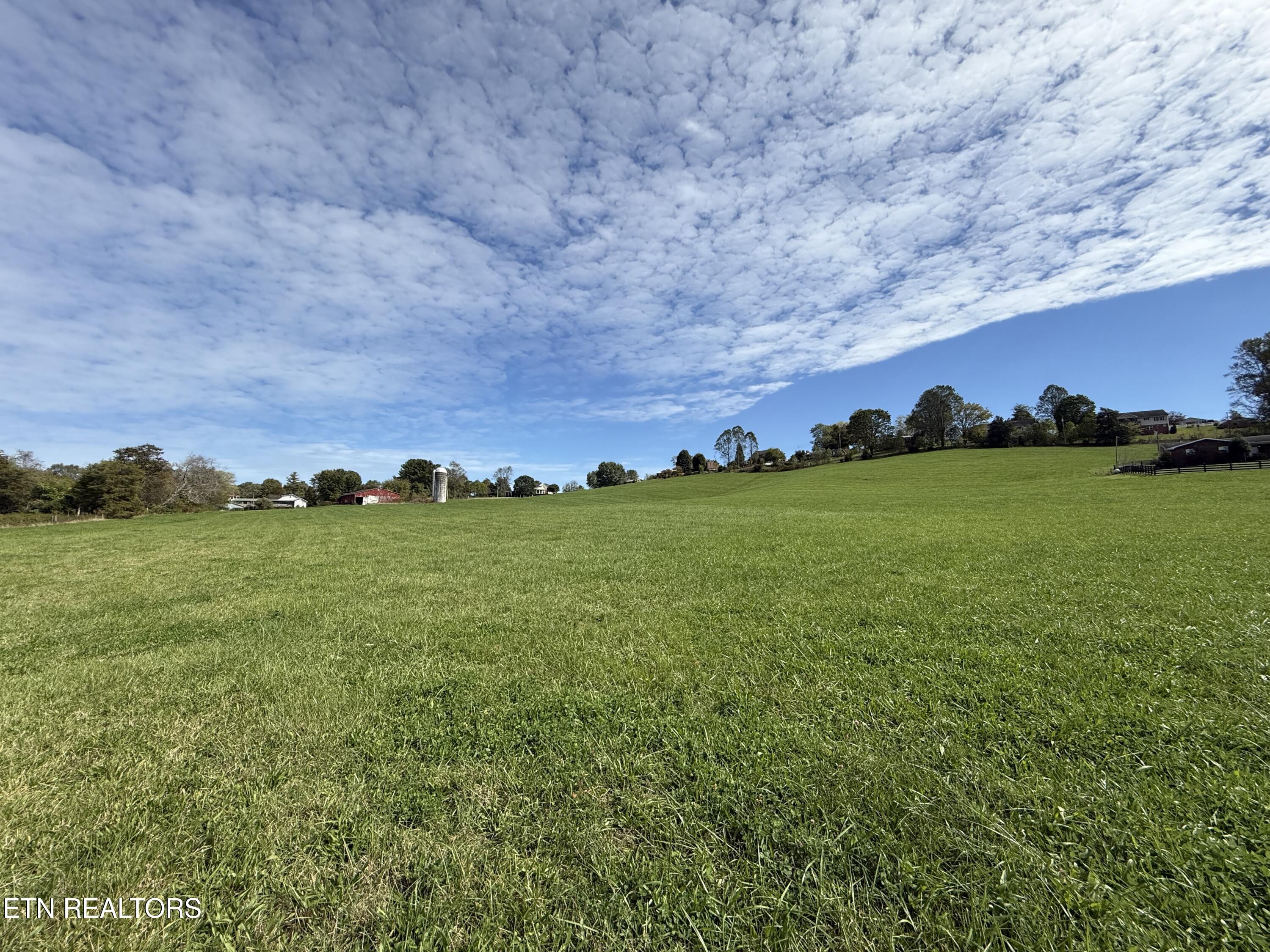 Tower Street Harrogate, TN 37752 - Photo 38 of 45 IMG_1998