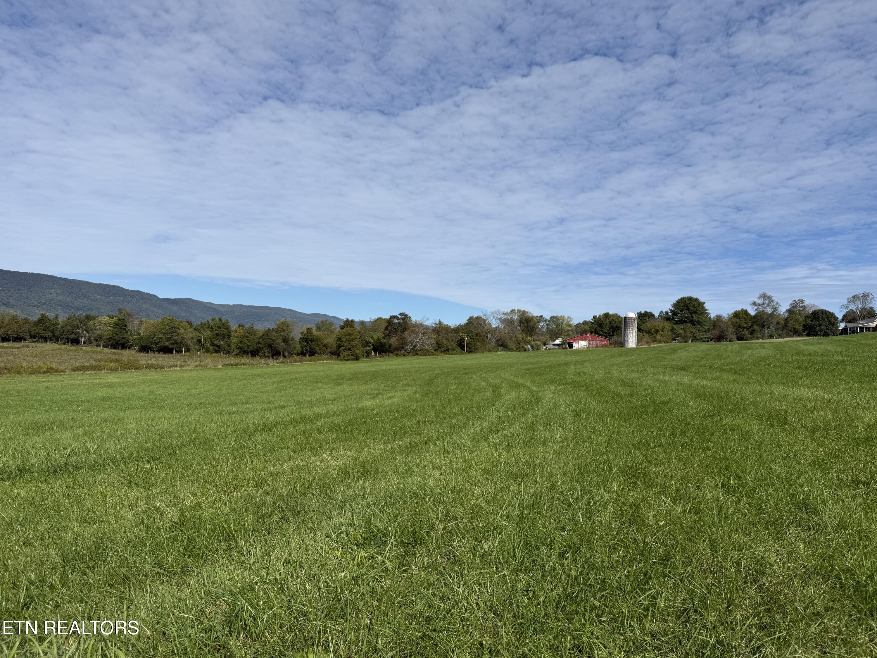 Tower Street Harrogate, TN 37752 - Photo 39 of 45 IMG_2002