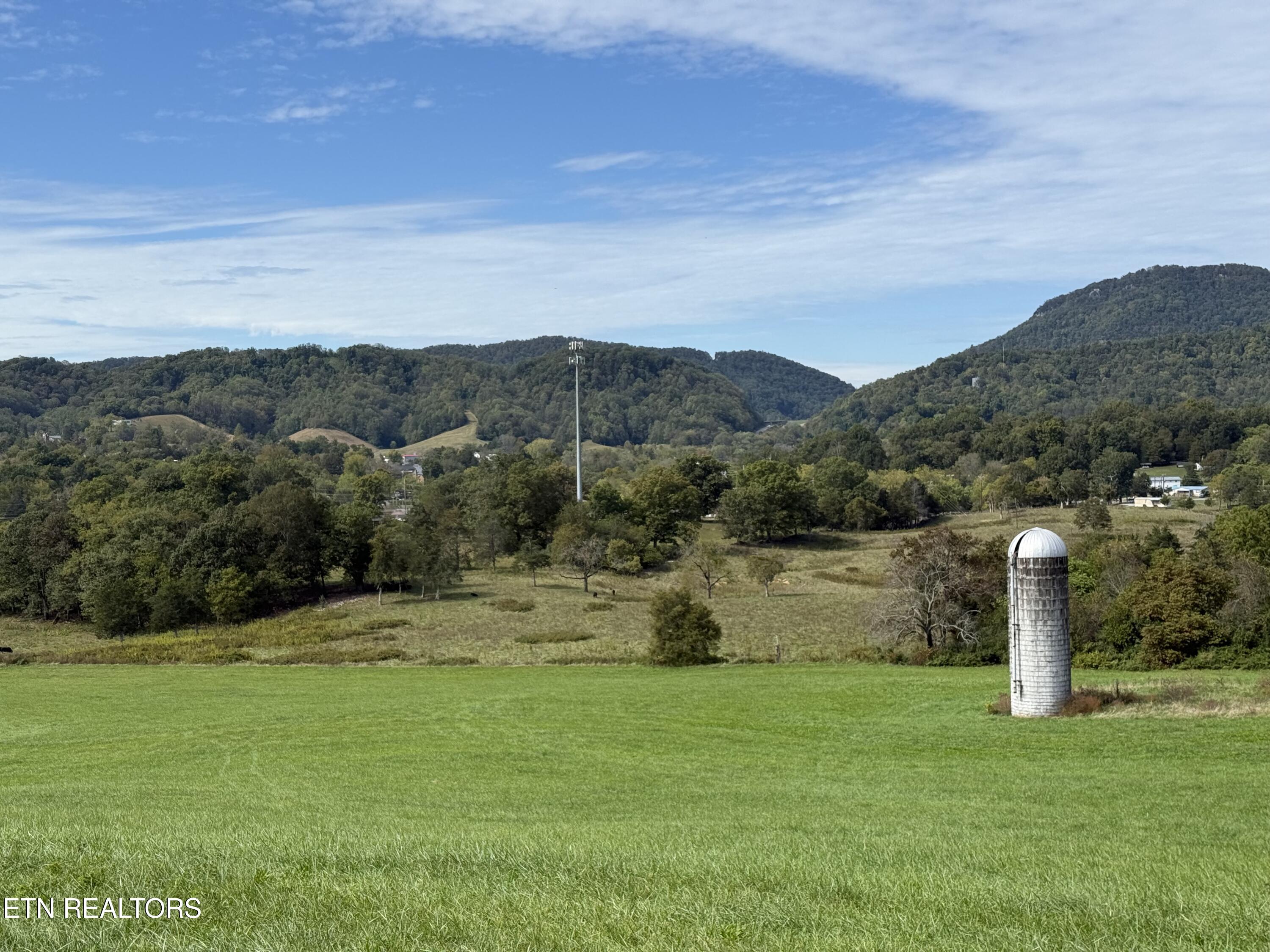 Tower Street Harrogate, TN 37752 - Photo 8 of 45 IMG_1968