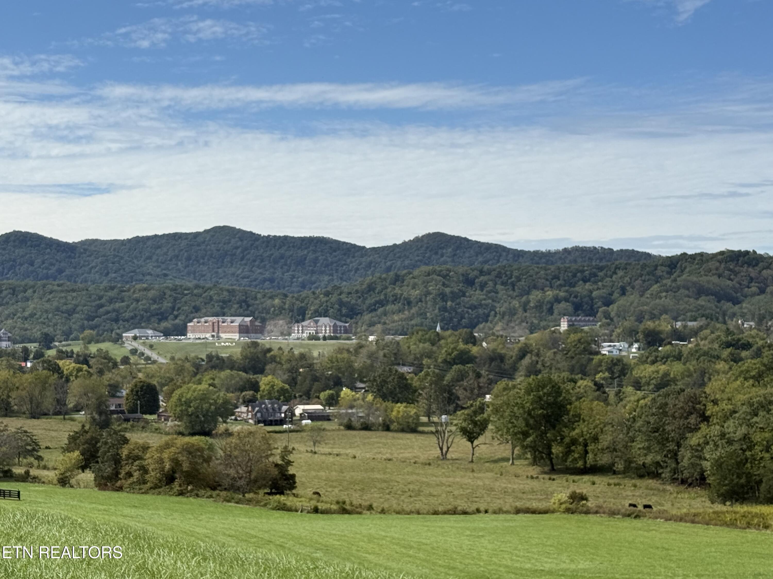 Tower Street Harrogate, TN 37752 - Photo 10 of 45 IMG_1970