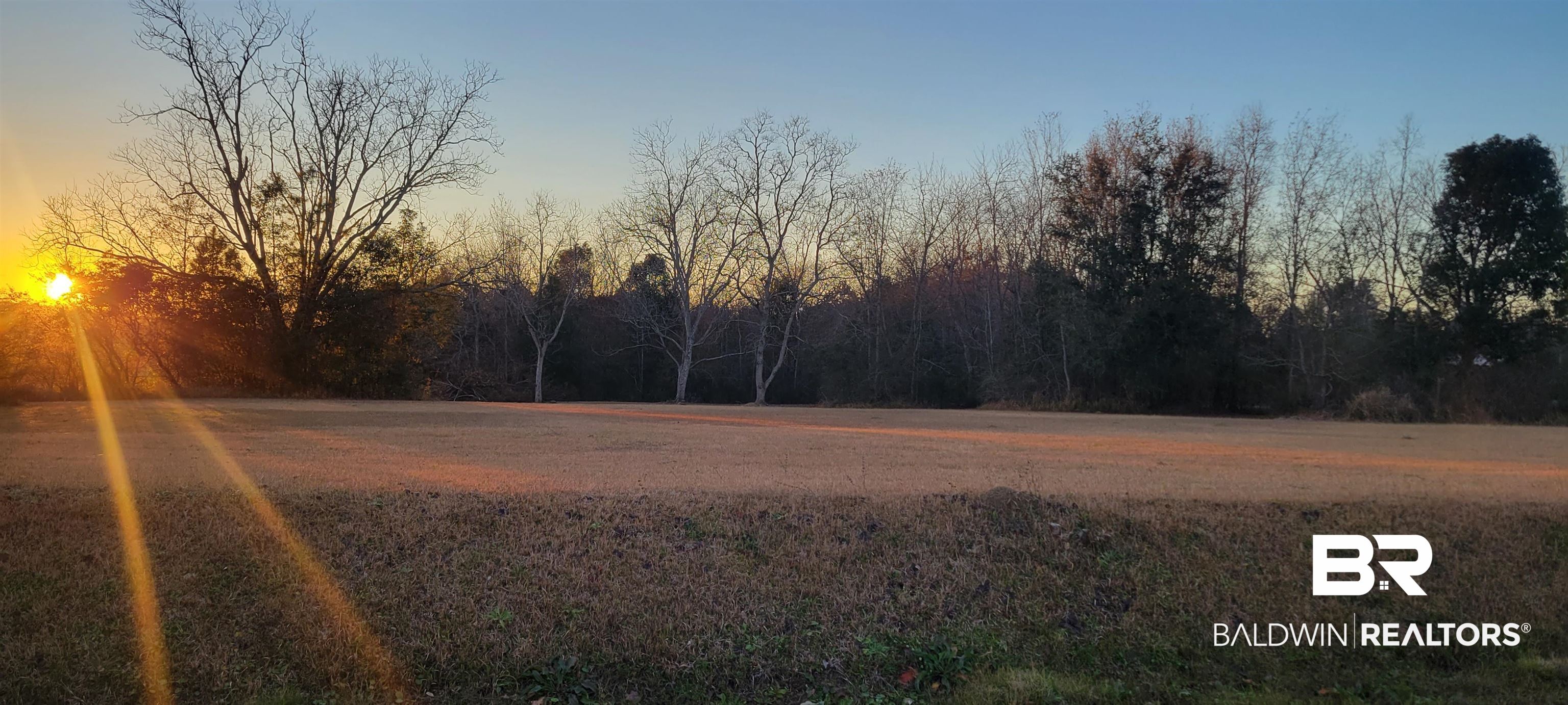 0 Diffee Road Grand Bay, AL 36541 - Photo 3 of 5