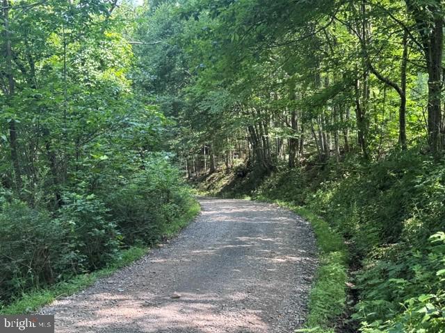 Tbd Locust Grove Road Thornton, WV 26440 - Photo 23 of 24