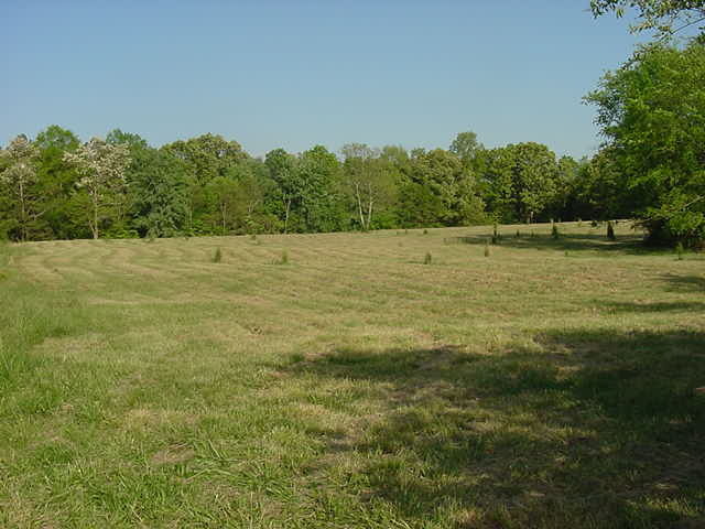 979 Vittetoe Road Chickamauga, GA 30707 - Photo 8 of 8 Additional Photo