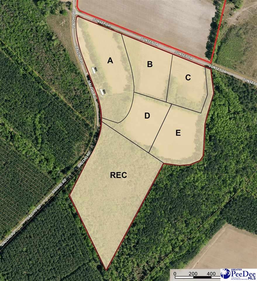 Lot A Dalcho Road Latta, SC 29565 - Photo 13 of 14 Gallery Image 13