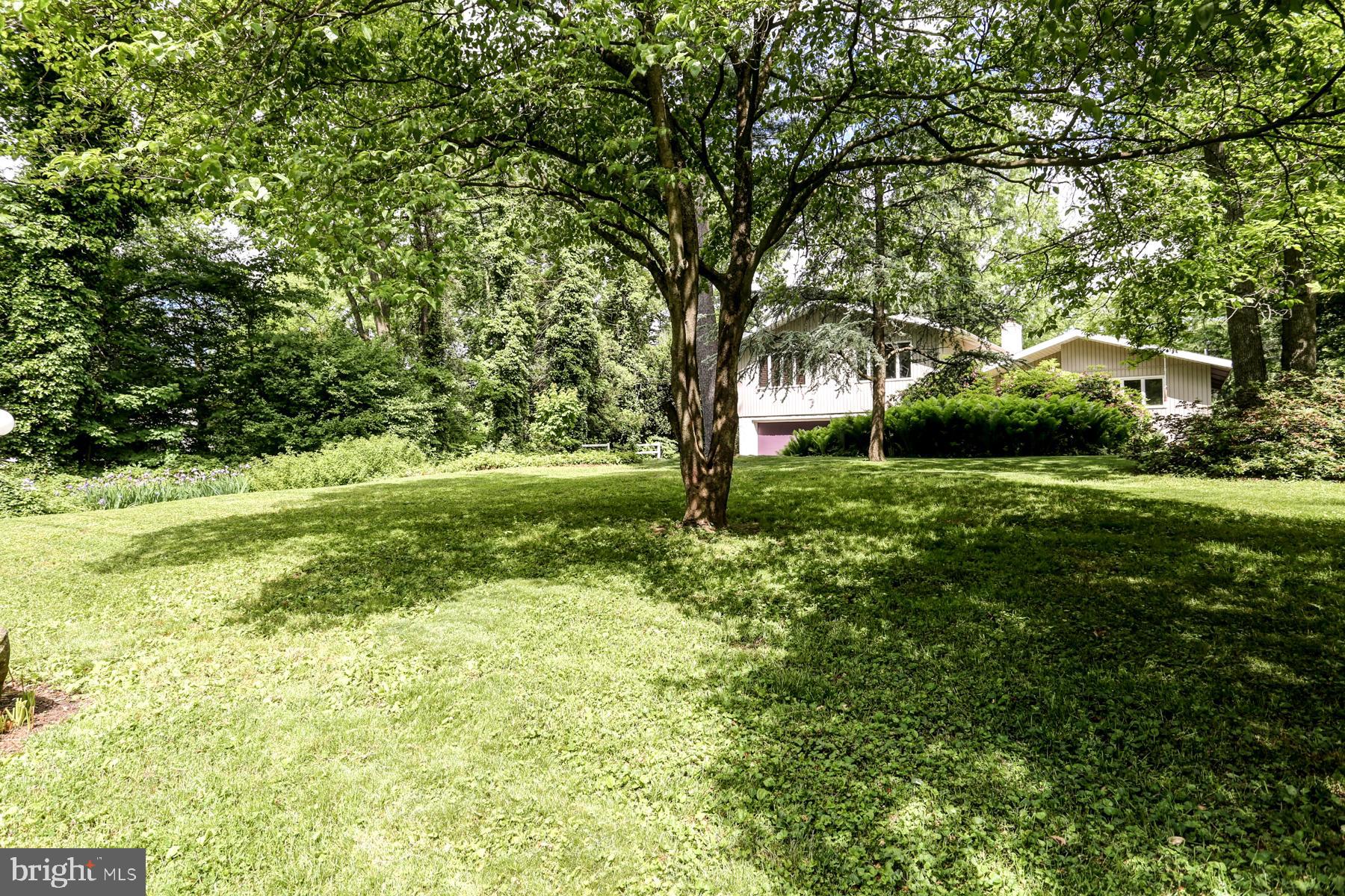 1155 Ridge Road Elizabethtown, PA 17022 - Photo 45 of 53 Backyard
