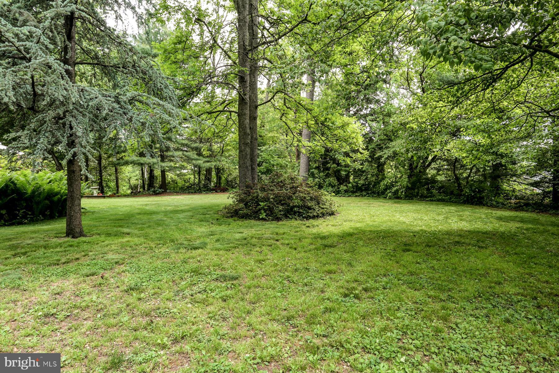 1155 Ridge Road Elizabethtown, PA 17022 - Photo 47 of 53 Backyard is very private