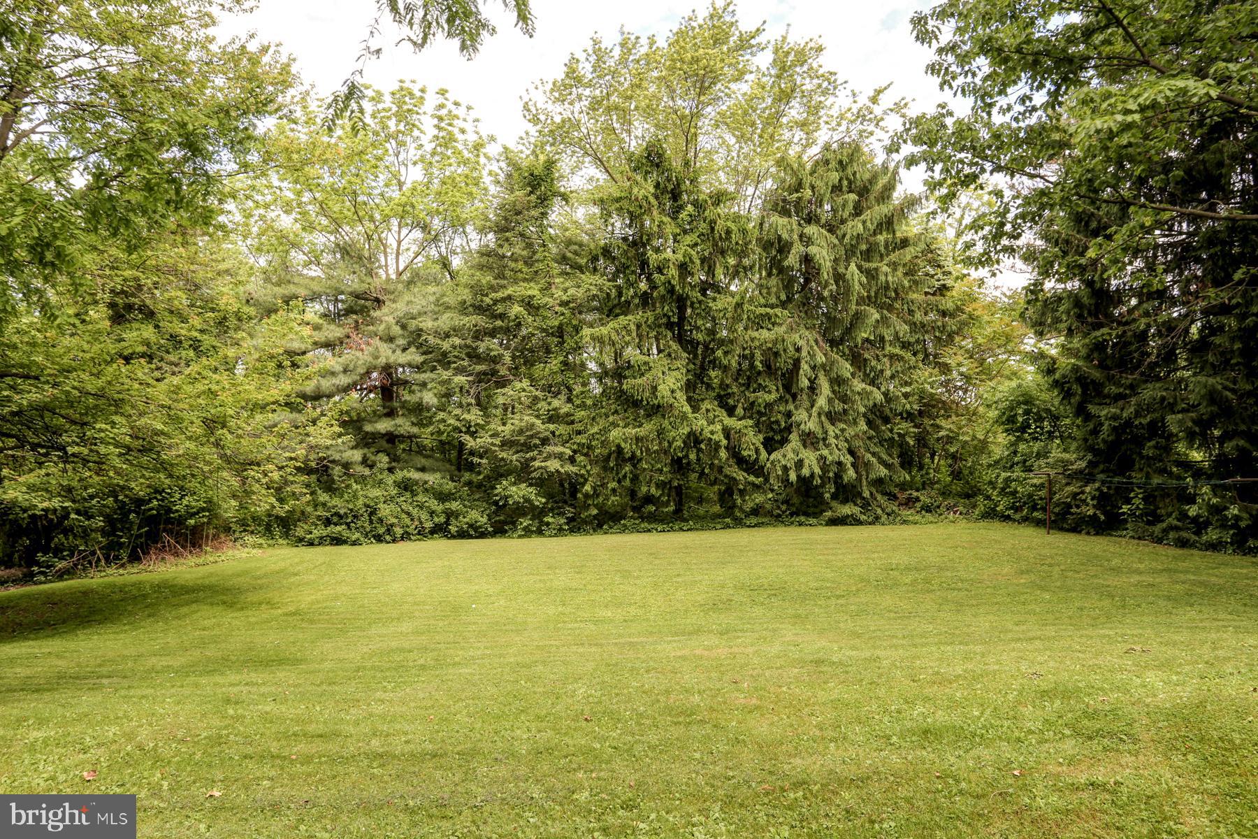 1155 Ridge Road Elizabethtown, PA 17022 - Photo 48 of 53 Lots of mature trees