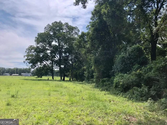 a view of outdoor space with trees all around