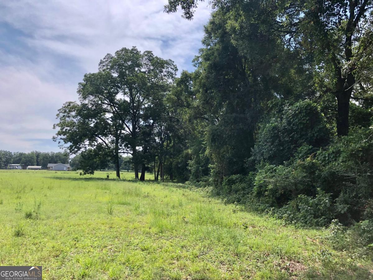 204 Nevils Groveland Road Statesboro, GA 30458 - Photo 2 of 7 a view of outdoor space with trees all around