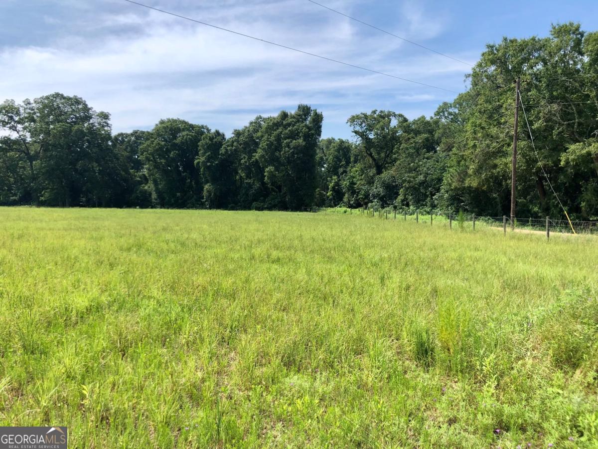 204 Nevils Groveland Road Statesboro, GA 30458 - Photo 3 of 7 a view of field with trees in the background