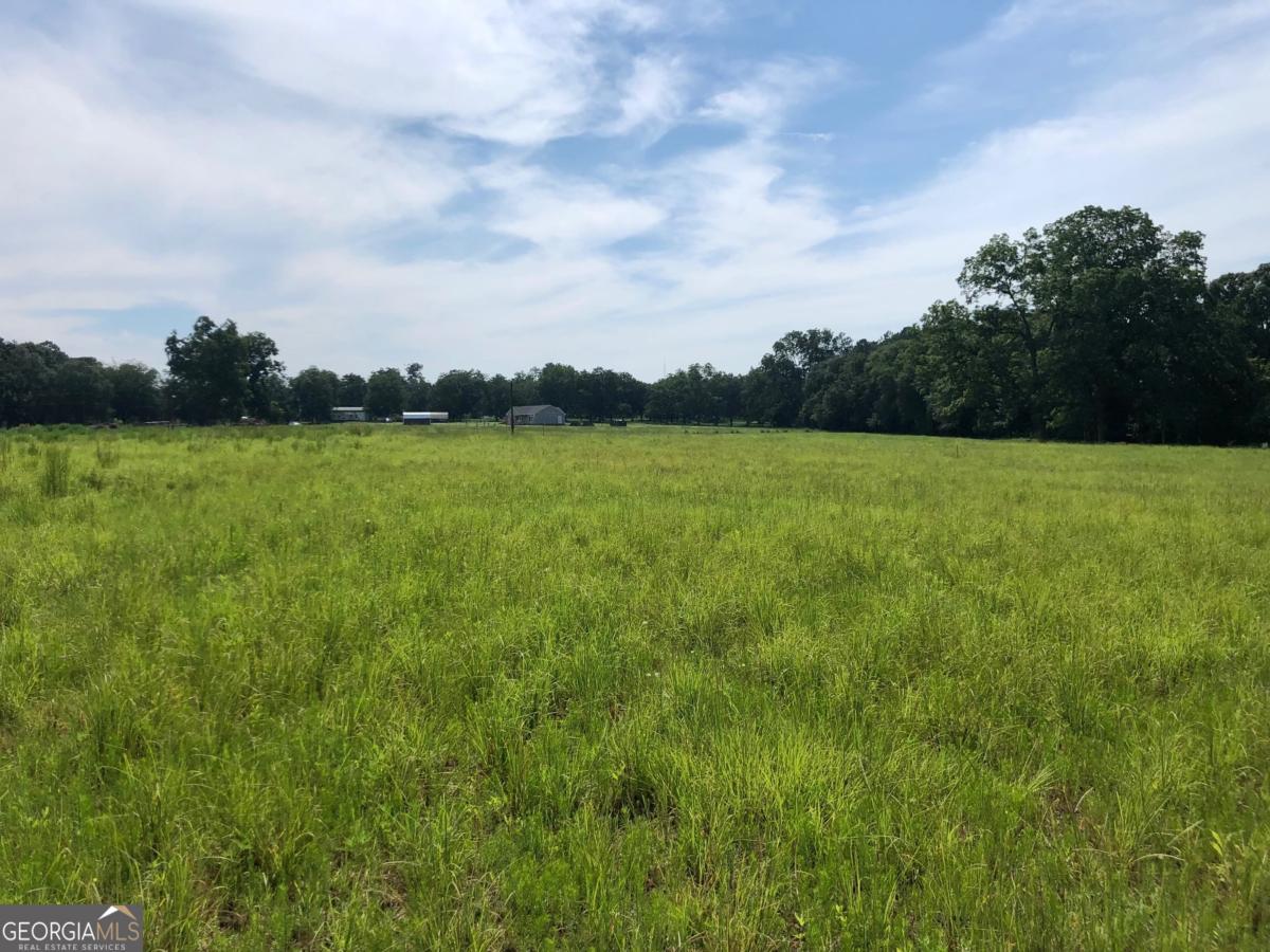 204 Nevils Groveland Road Statesboro, GA 30458 - Photo 4 of 7 a view of an ocean from a yard