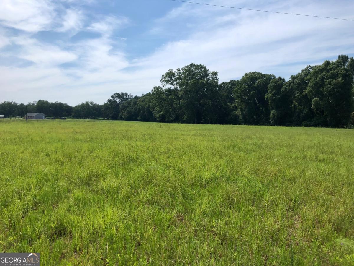 204 Nevils Groveland Road Statesboro, GA 30458 - Photo 5 of 7 a view of yard and mountain view