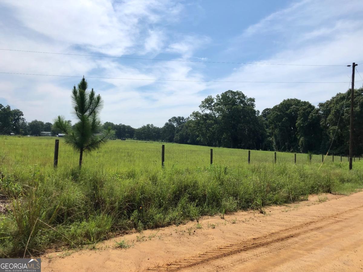 204 Nevils Groveland Road Statesboro, GA 30458 - Photo 6 of 7 a view of a garden with a lake view