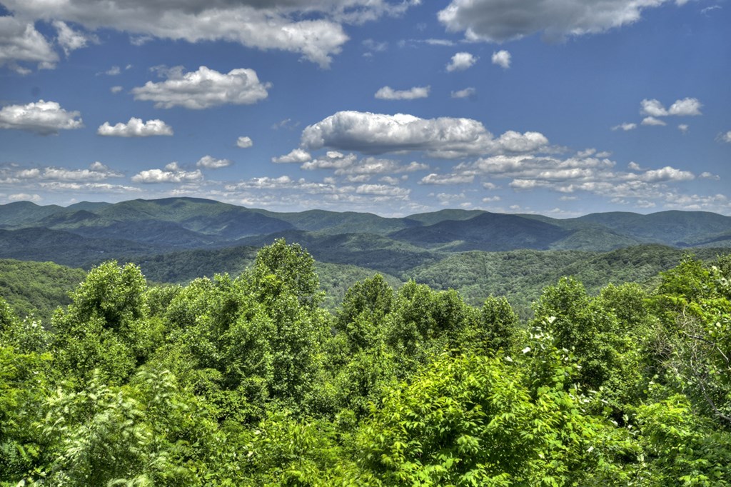 339 Moon Ridge Road Blairsville, GA 30512 - Photo 49 of 49 Gallery Image 49