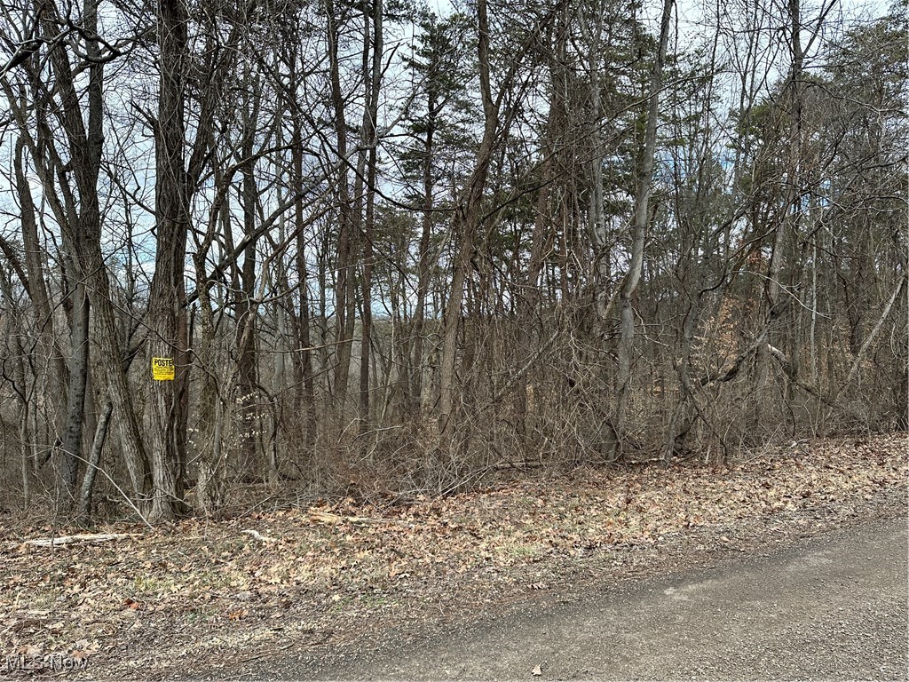View from road