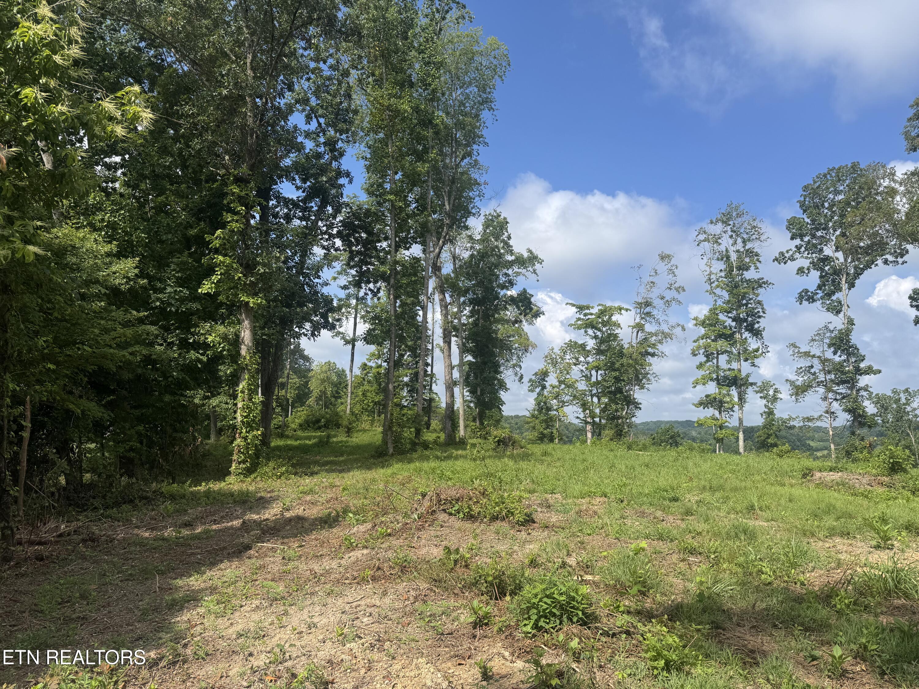 1 Mill Creek Road Andersonville, TN 37705 - Photo 11 of 17 IMG_0938