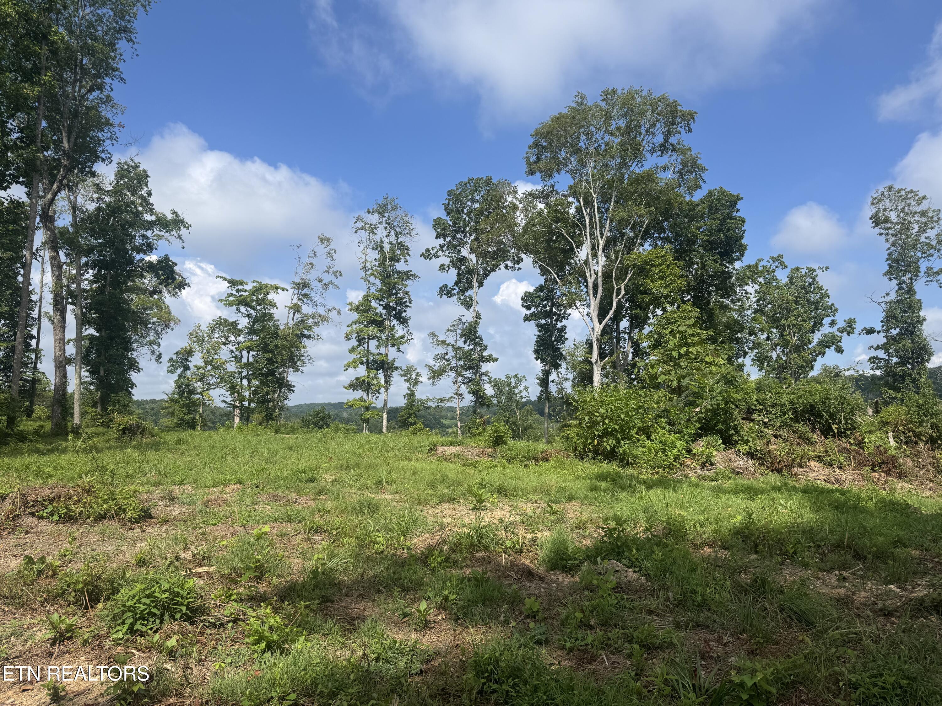 1 Mill Creek Road Andersonville, TN 37705 - Photo 13 of 17 IMG_0939