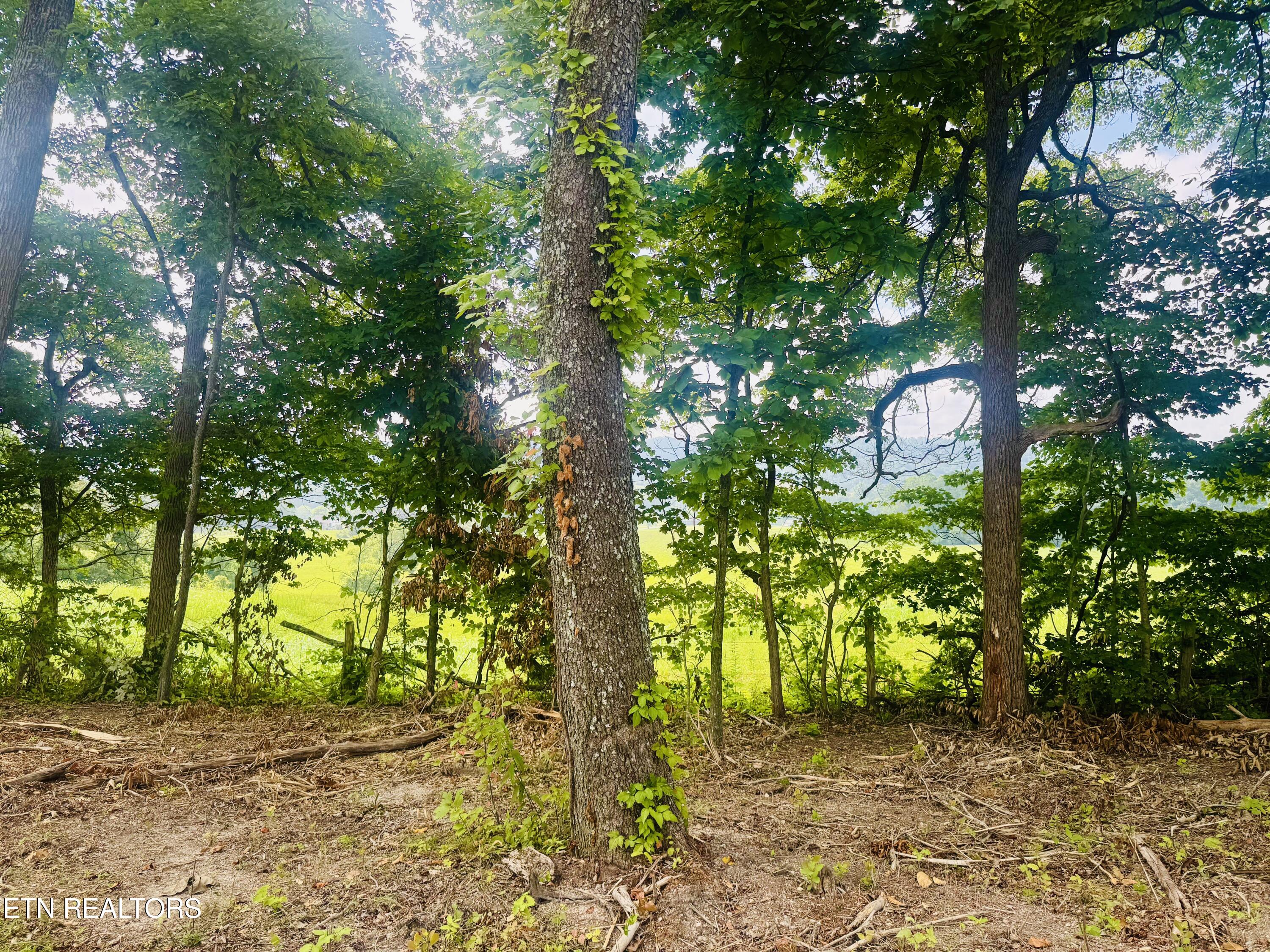 1 Mill Creek Road Andersonville, TN 37705 - Photo 16 of 17 IMG_0935