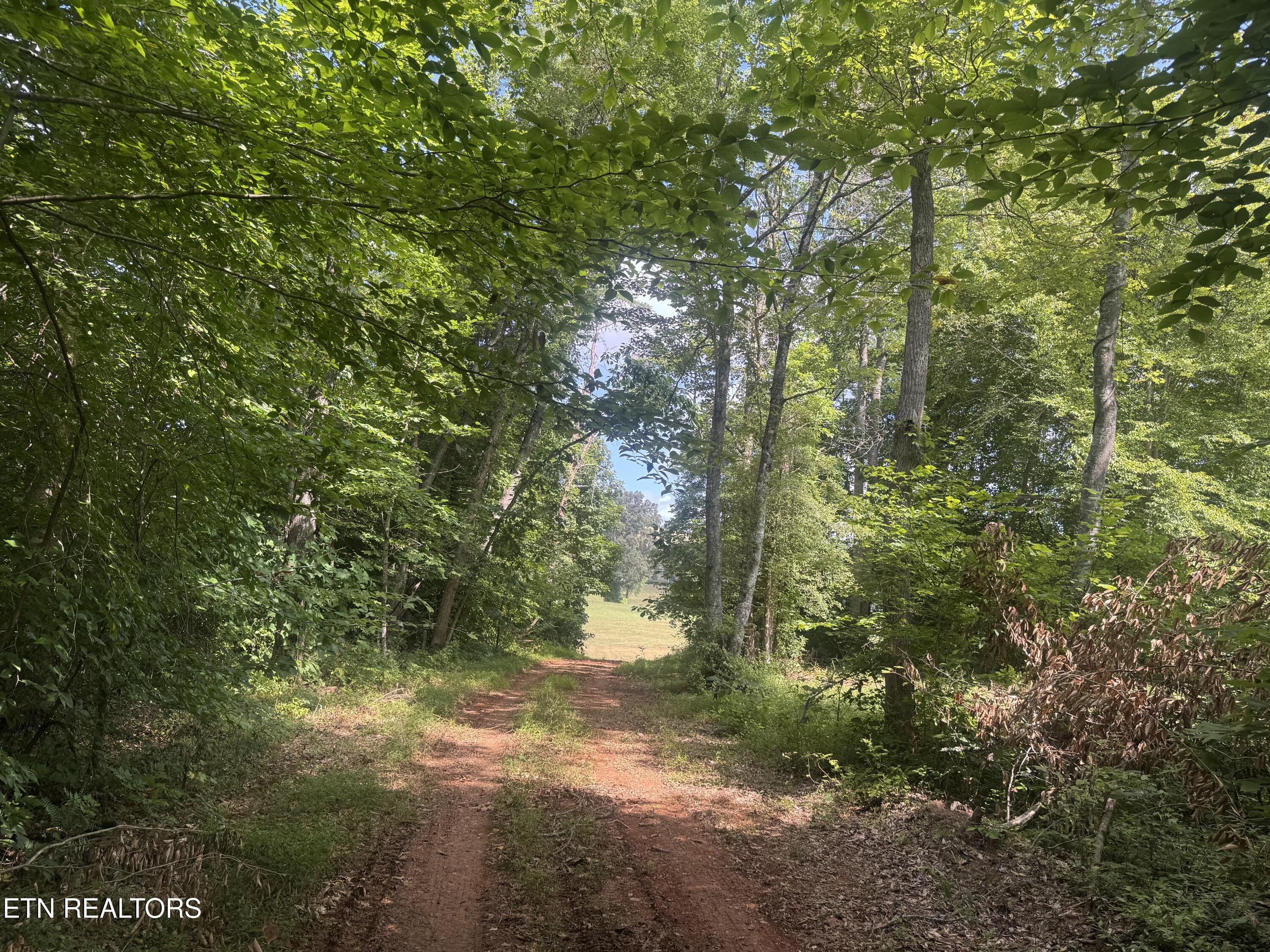 1 Mill Creek Road Andersonville, TN 37705 - Photo 4 of 17 IMG_0967