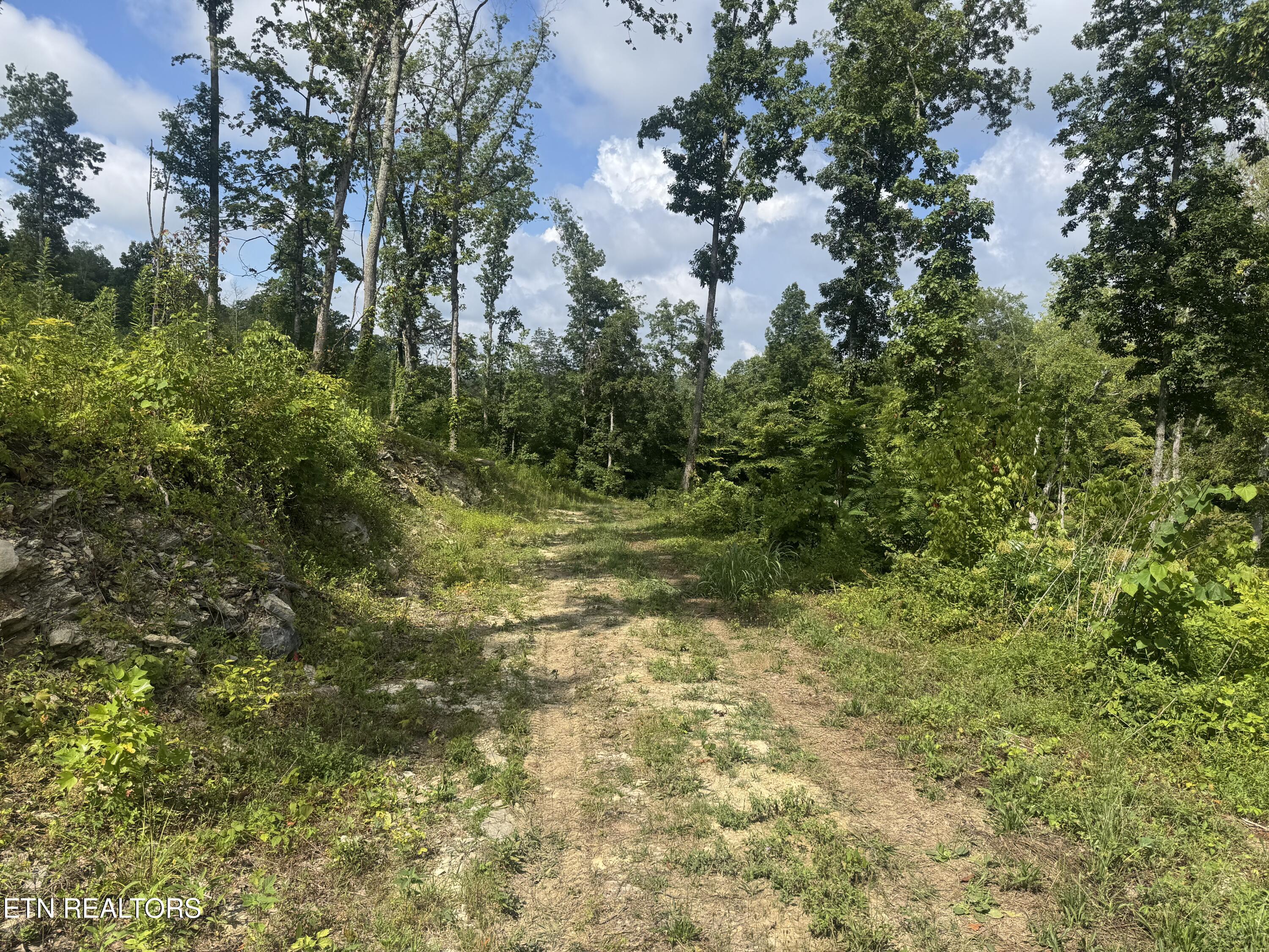 1 Mill Creek Road Andersonville, TN 37705 - Photo 5 of 17 IMG_0965