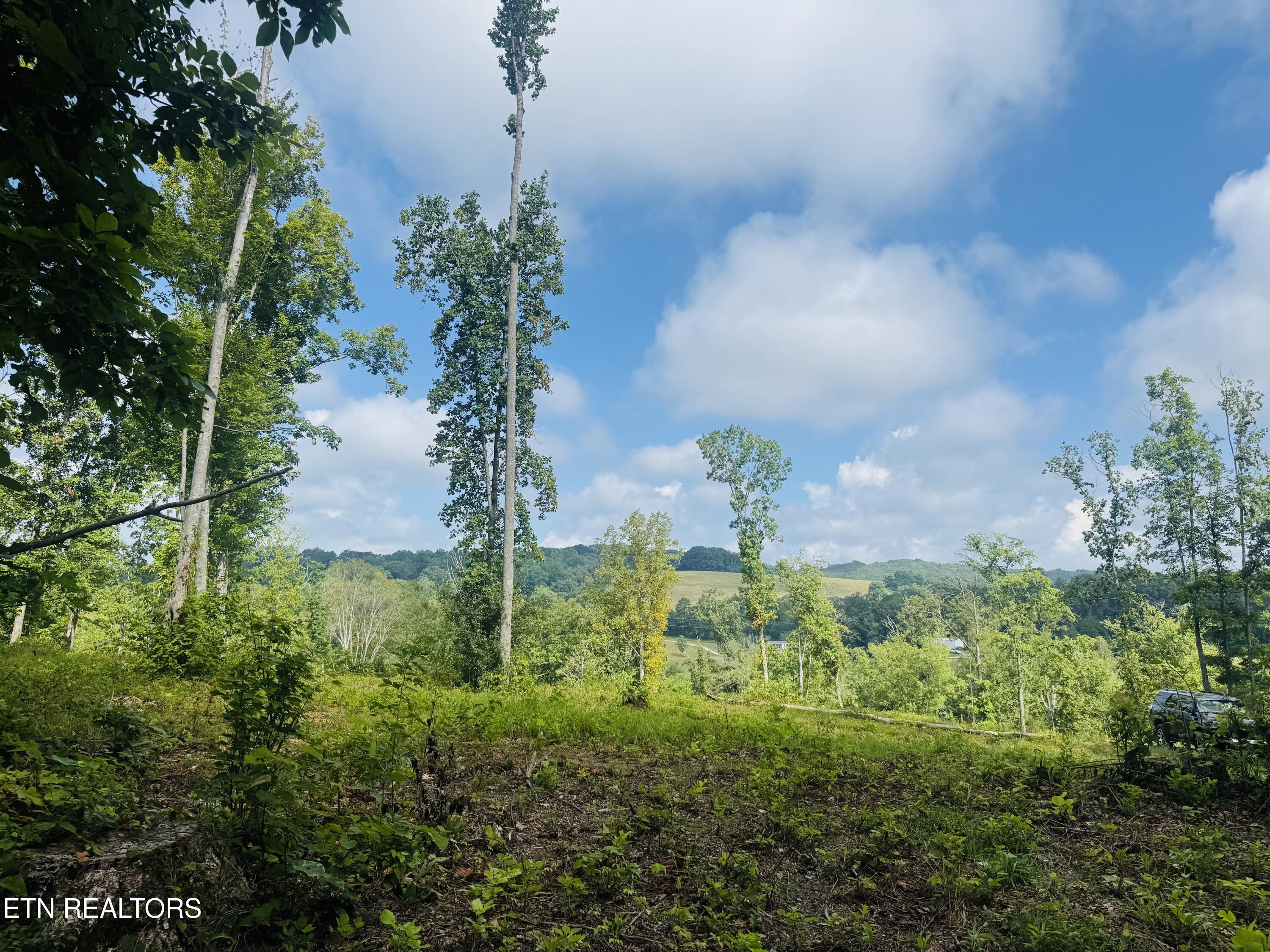 1 Mill Creek Road Andersonville, TN 37705 - Photo 6 of 17 IMG_0949