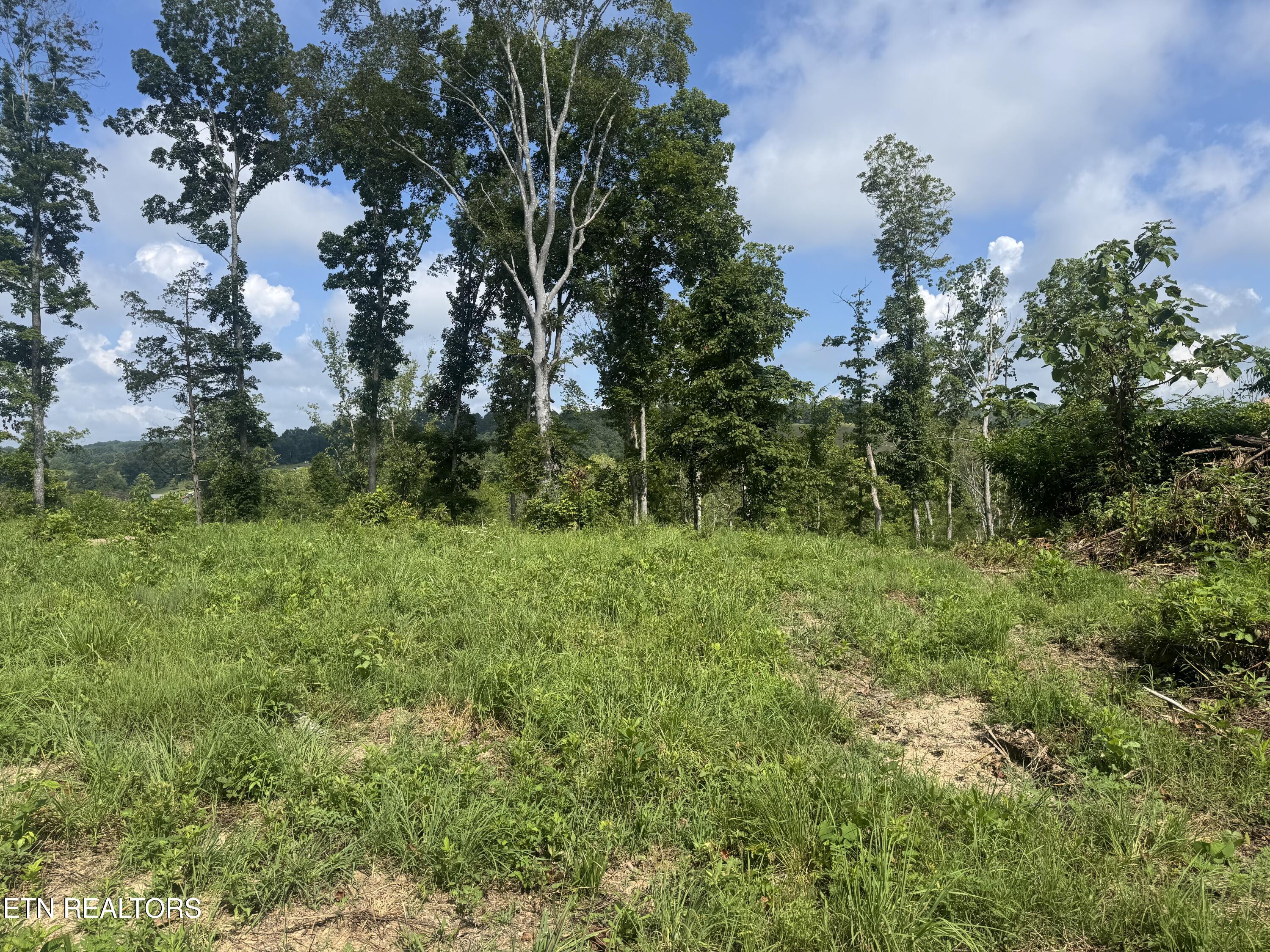 1 Mill Creek Road Andersonville, TN 37705 - Photo 9 of 17 IMG_0944