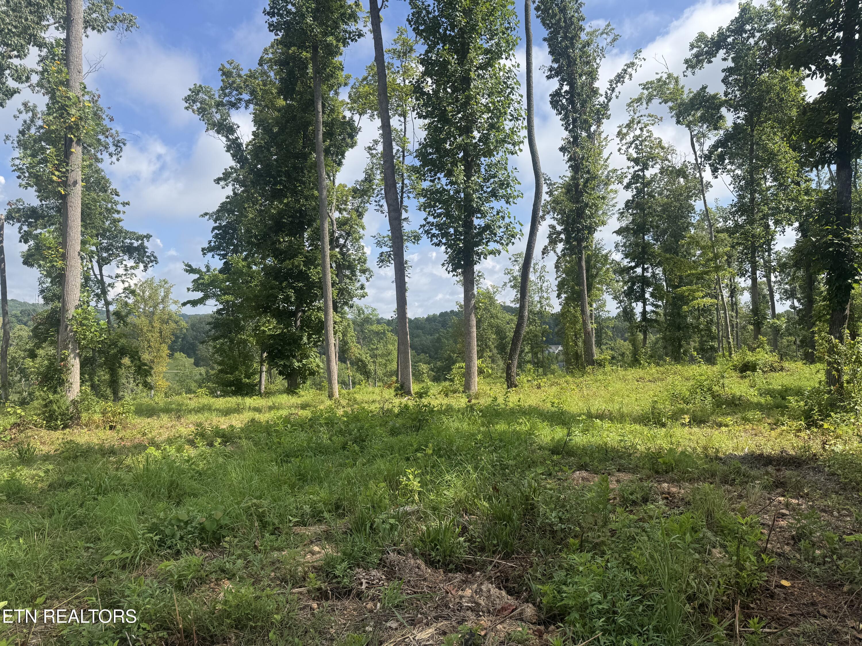 1 Mill Creek Road Andersonville, TN 37705 - Photo 10 of 17 IMG_0942