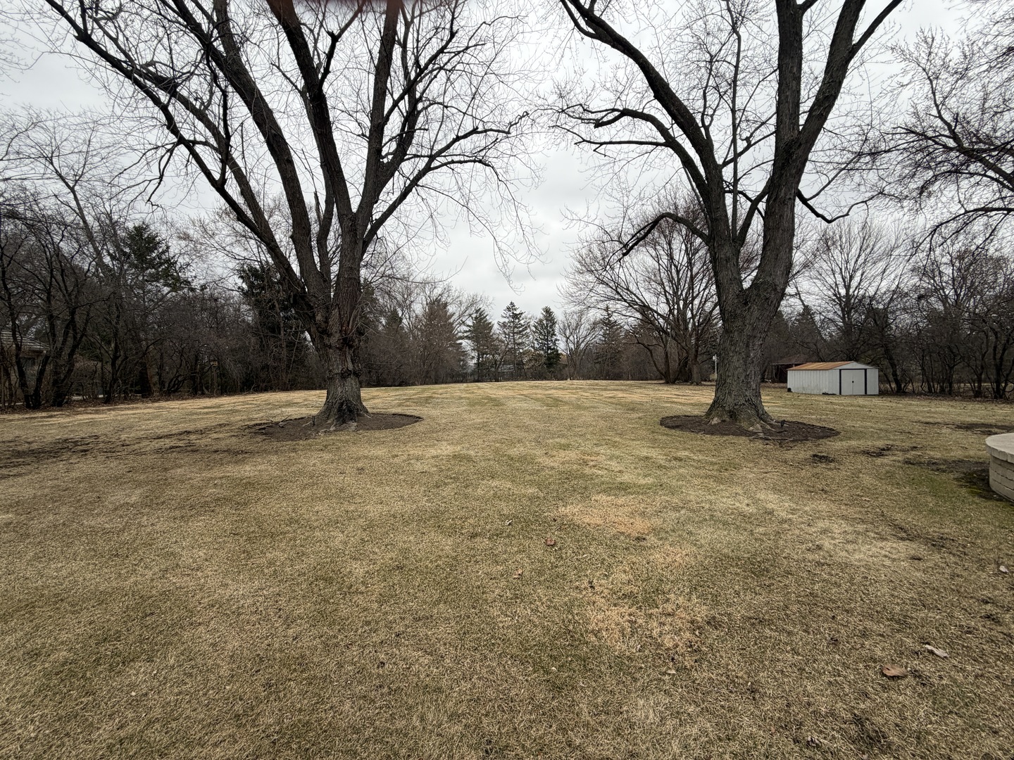 75 Ela Road Inverness, IL 60067 - Photo 5 of 41