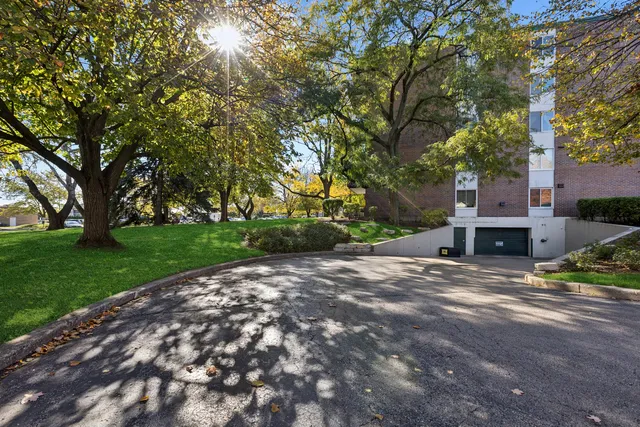 a view of road with large trees