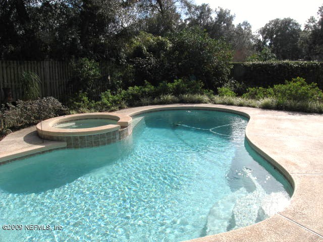 1141 Kings Road Neptune Beach, FL 32266 - Photo 7 of 7 Backyard