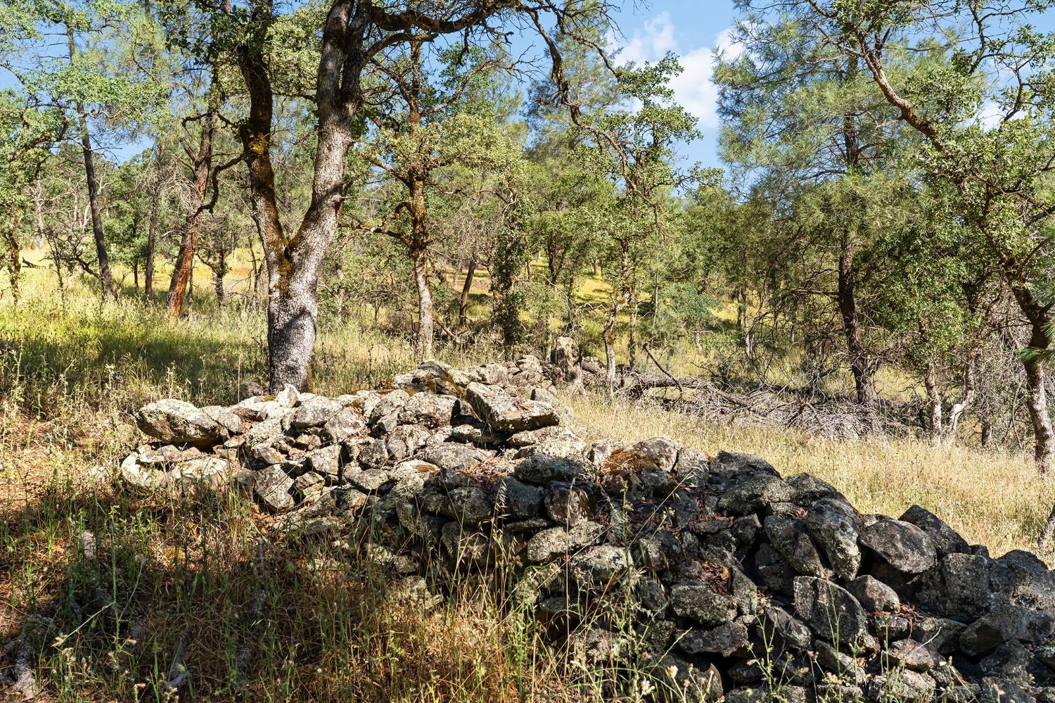 1484 Oregon Gulch Road Oroville, CA 95965 - Photo 37 of 78