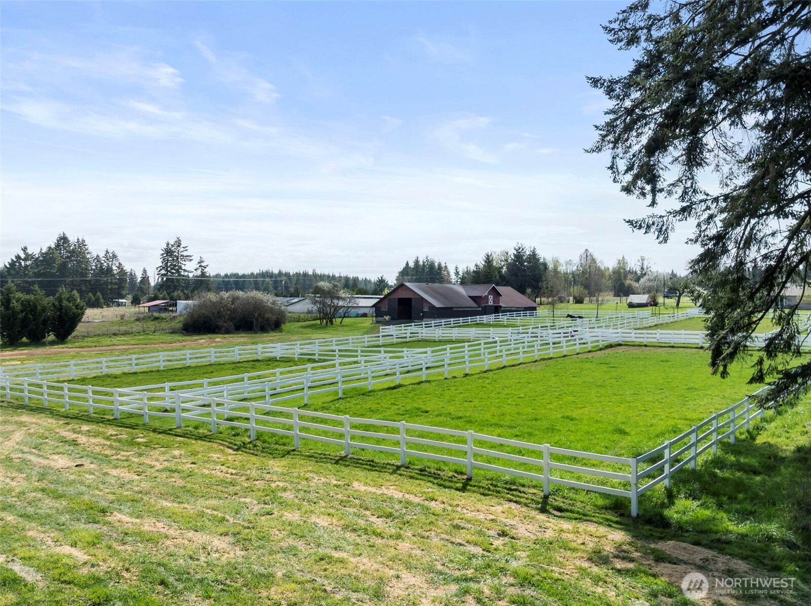 689 Rhoades Road Winlock, WA 98596 - Photo 33 of 37 Gallery Image 33