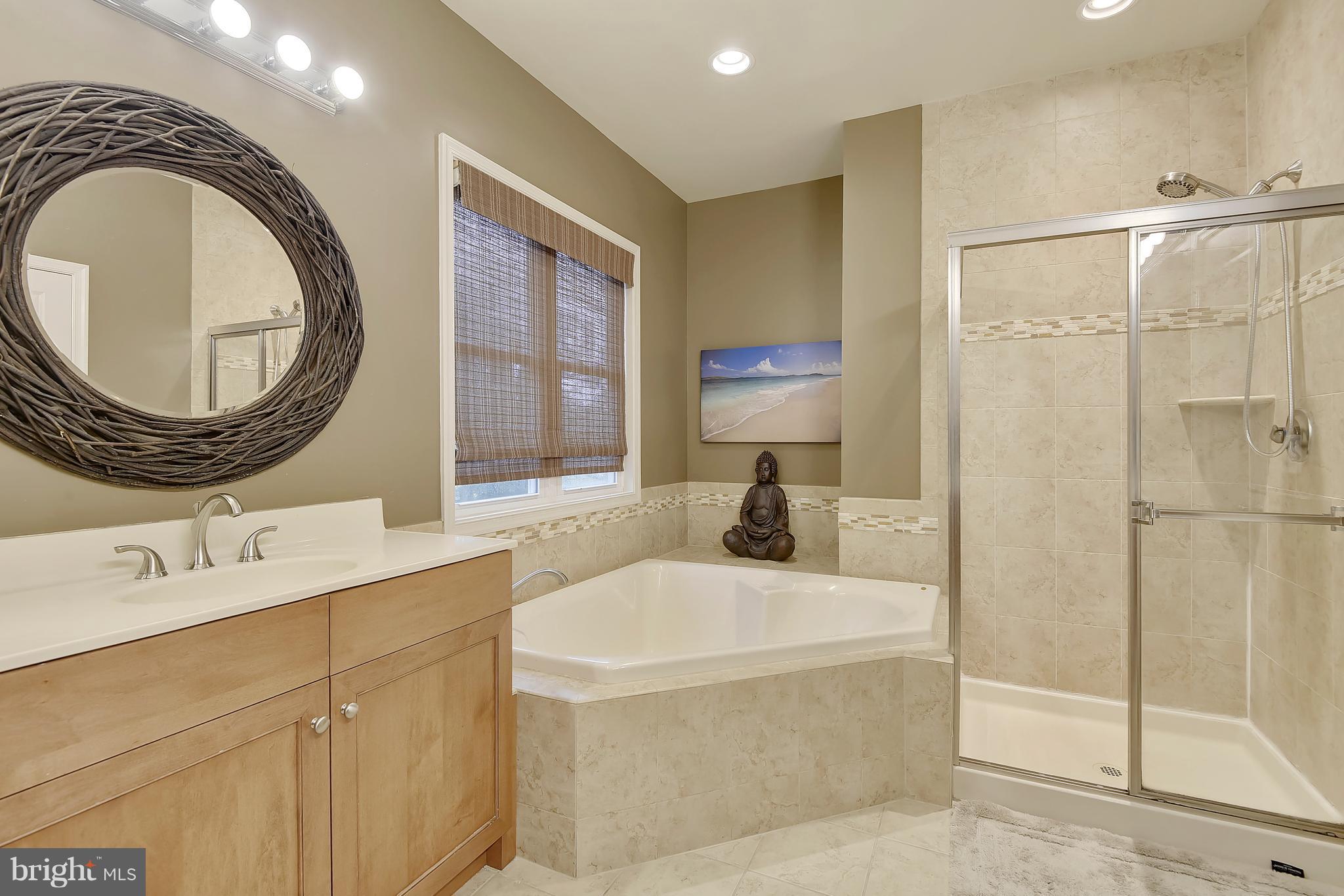 13236 Moonlight Trail Drive Silver Spring, MD 20906 - Photo 14 of 30 Spa Master Bath