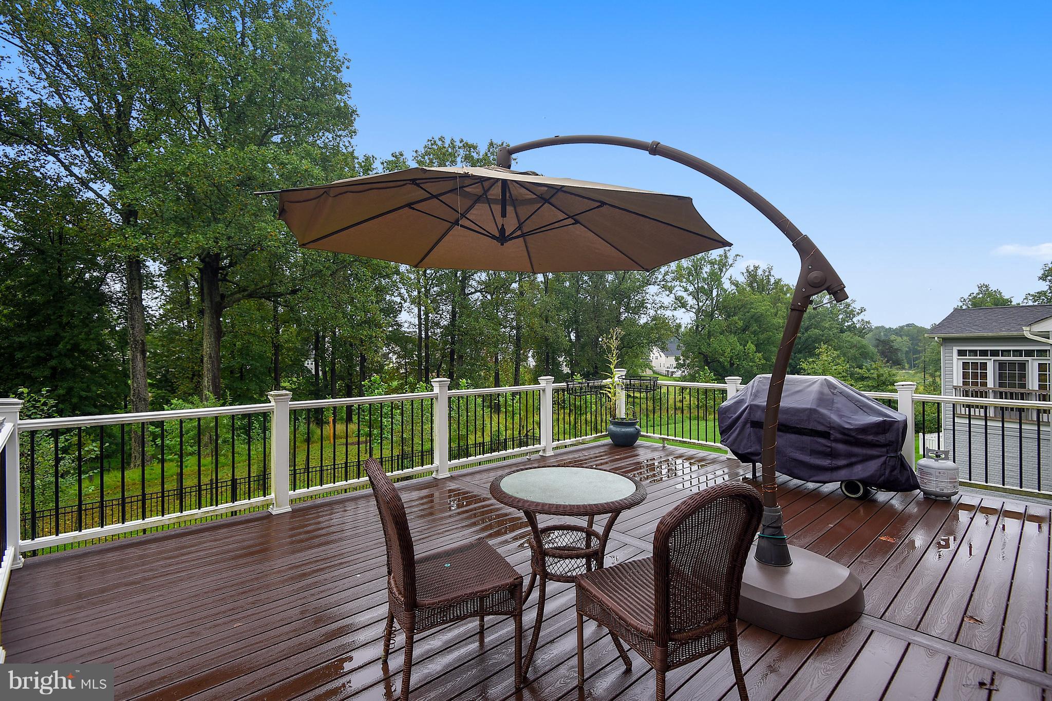 13236 Moonlight Trail Drive Silver Spring, MD 20906 - Photo 25 of 30 Exterior (Rear)