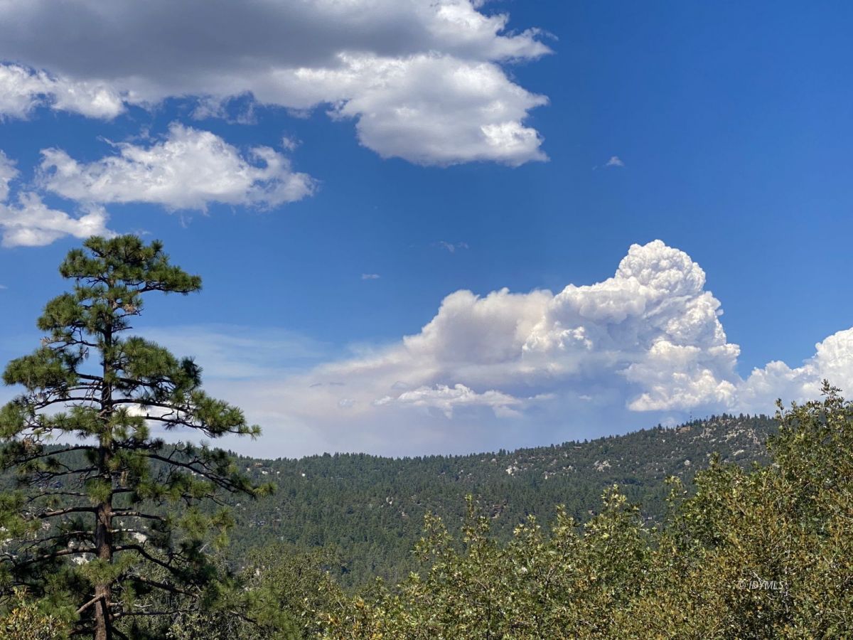 54350 Valley-View Idyllwild, CA 92549 - Photo 13 of 19 Untitled