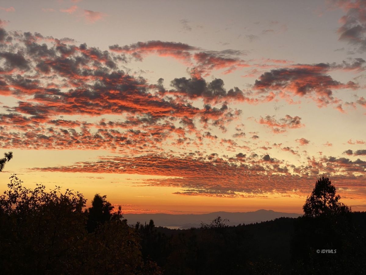 54350 Valley-View Idyllwild, CA 92549 - Photo 18 of 19 Untitled