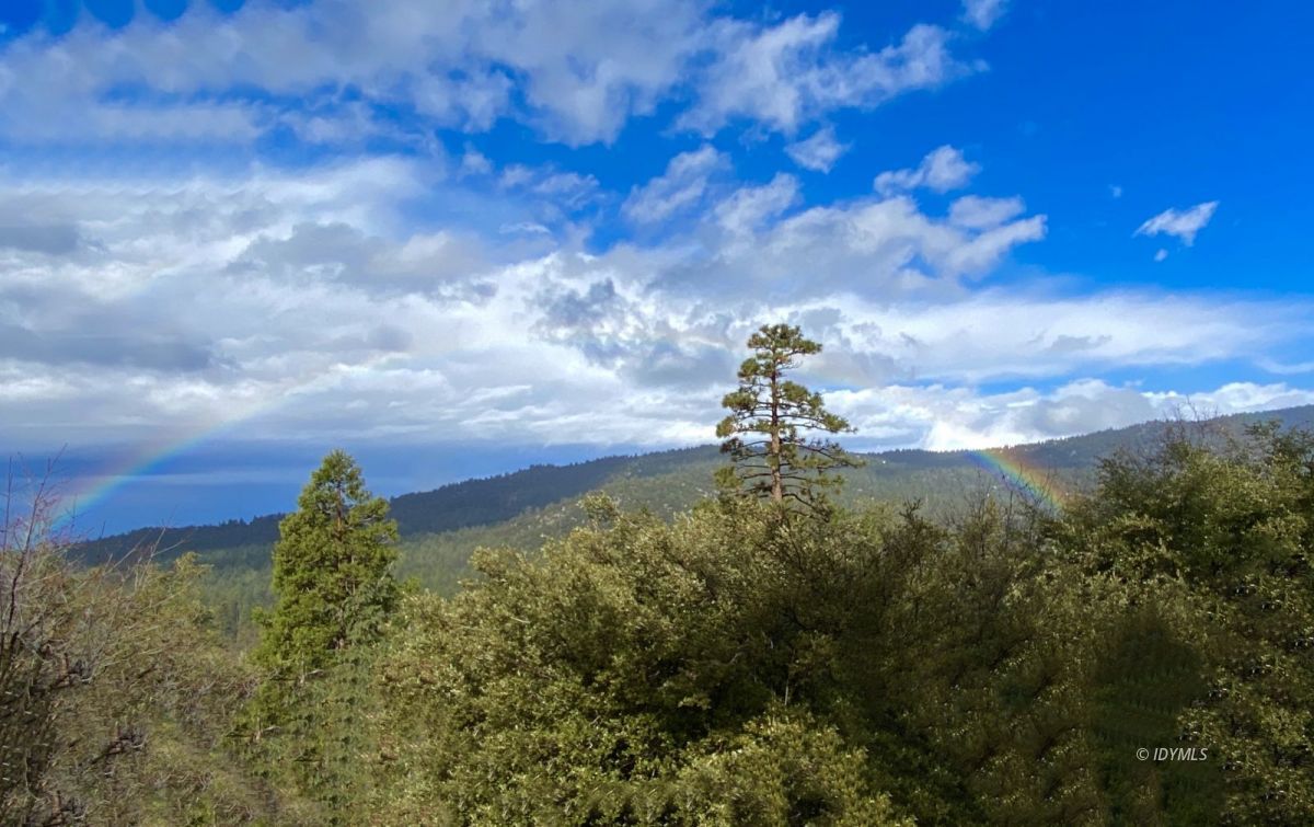 54350 Valley-View Idyllwild, CA 92549 - Photo 19 of 19 Untitled