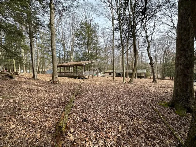 a view of park with trees