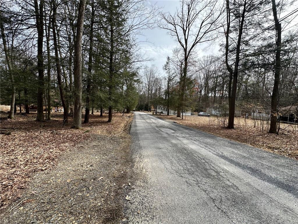 240-246 Harmony Drive Flinton, PA 16640 - Photo 5 of 13 a row of open space with trees