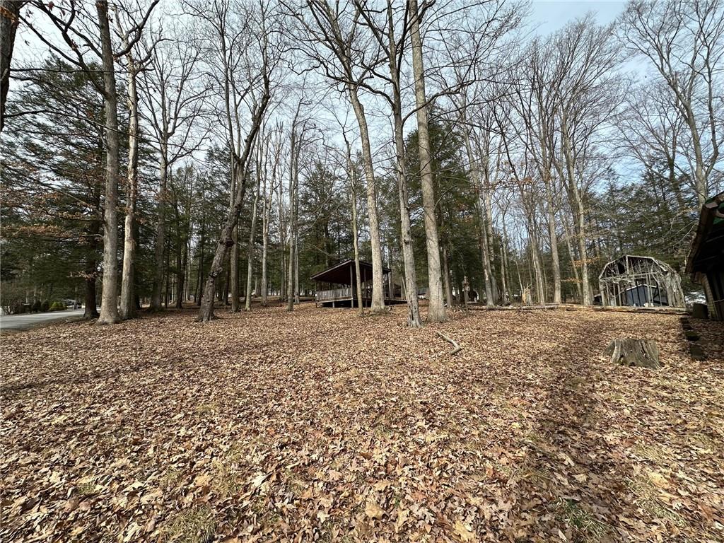 240-246 Harmony Drive Flinton, PA 16640 - Photo 6 of 13 a view of a backyard with large trees