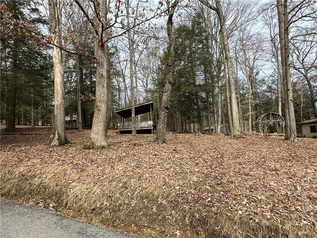 240-246 Harmony Drive Flinton, PA 16640 - Photo 7 of 13 a view of a backyard with a trees