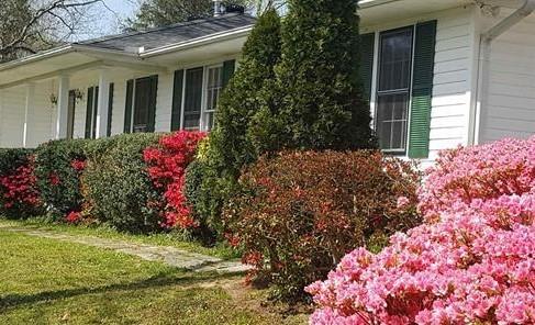 1378 Wolffork Road Rabun Gap, GA 30568 - Photo 1 of 1