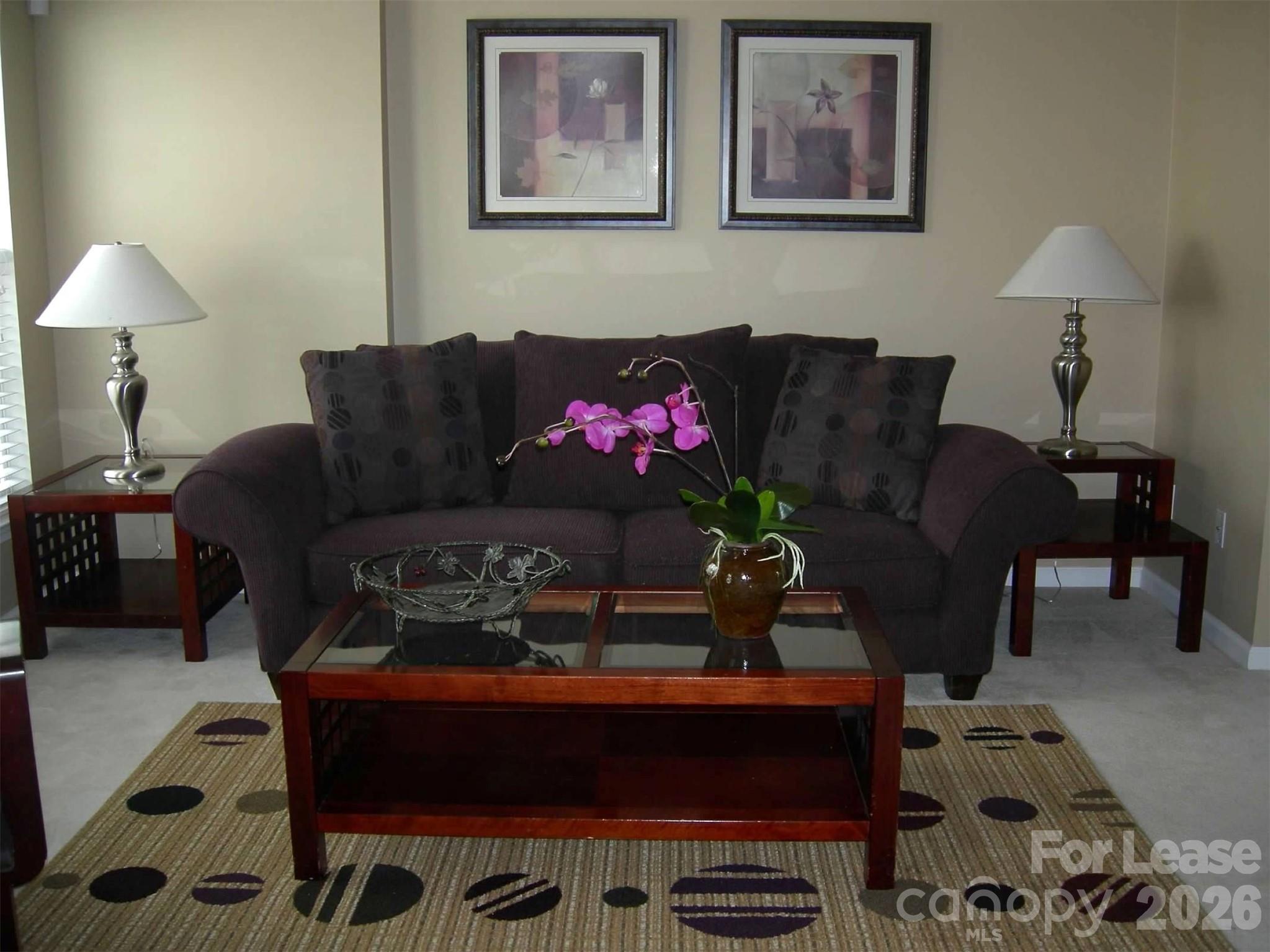 809 Dillard Road Rock Hill, SC 29730 - Photo 2 of 23