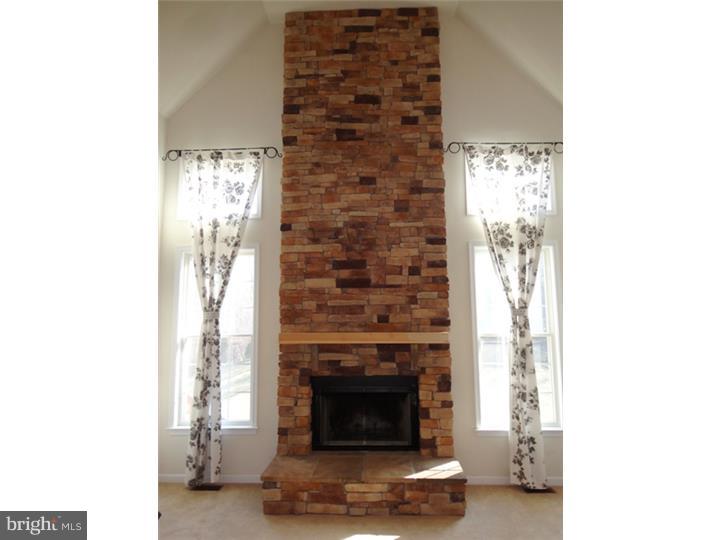 3701 Green Ridge Road Furlong, PA 18925 - Photo 6 of 25 Fireplace
