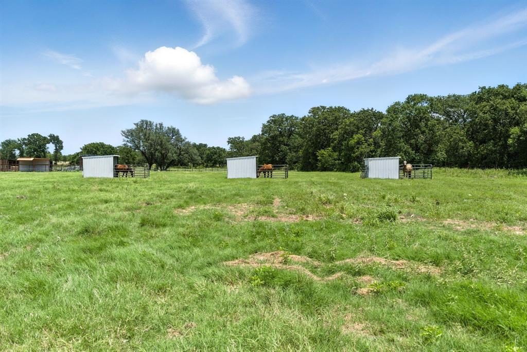 11140 Light Road Lipan, TX 76462 - Photo 29 of 37 a big yard with lots of green space and plants