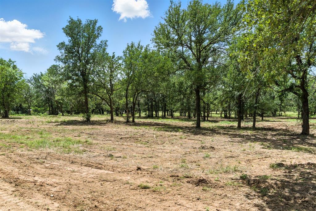 11140 Light Road Lipan, TX 76462 - Photo 34 of 37 a fire hydrant in the middle of a field