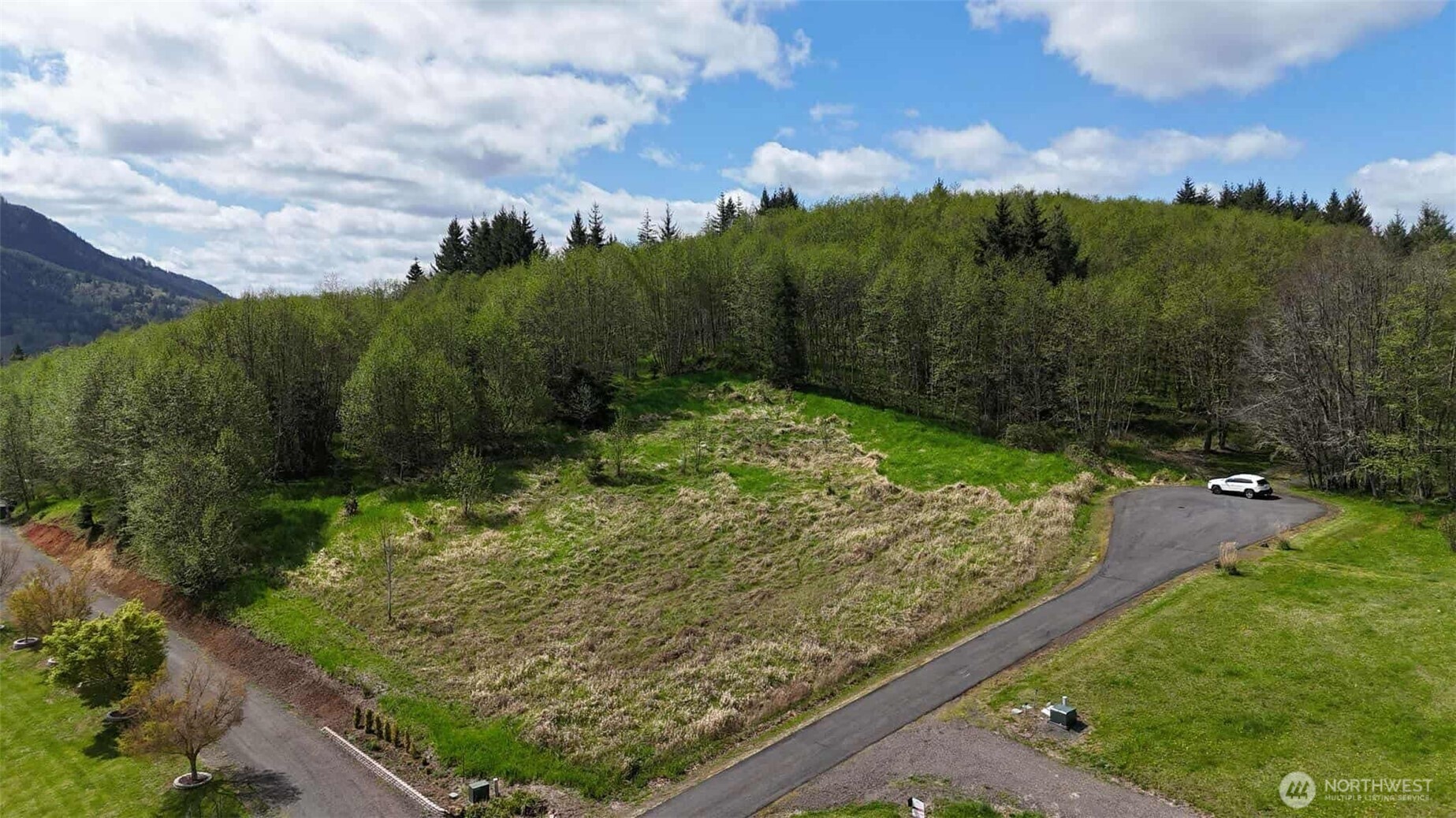 0 Elk Ridge Road Mossyrock, WA 98564 - Photo 3 of 13