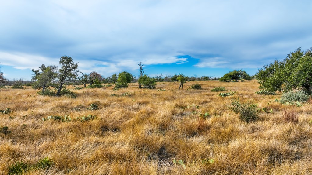 875 Old Harper Road Harper, TX 78631 - Photo 17 of 42 a view of beach and covered with trees