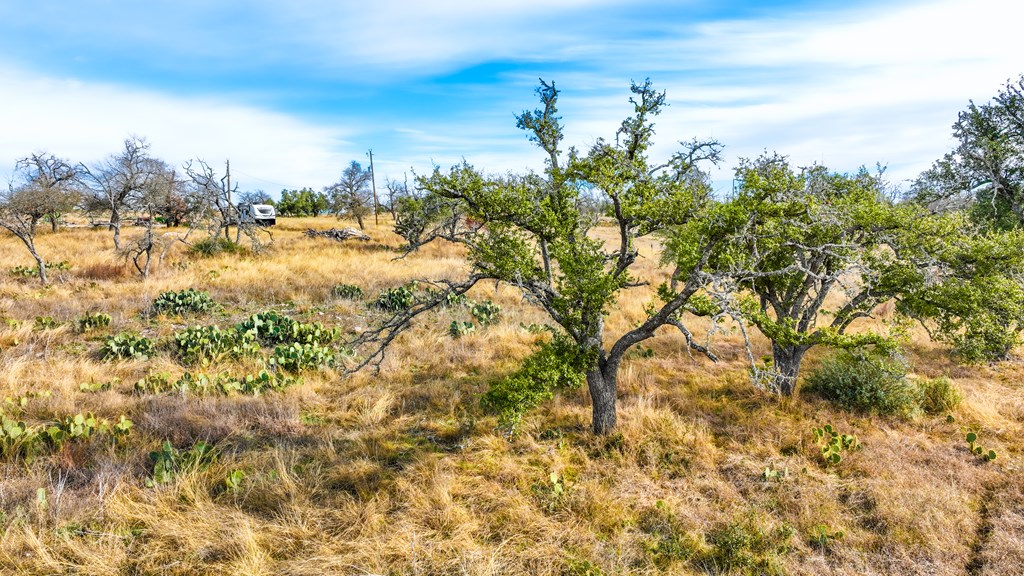 875 Old Harper Road Harper, TX 78631 - Photo 22 of 42 a view of lake and mountain