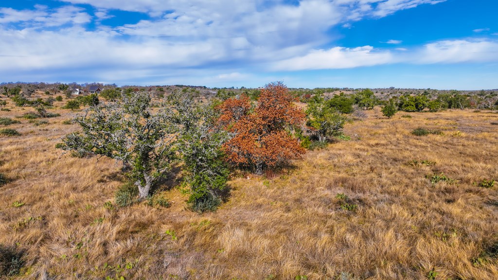 875 Old Harper Road Harper, TX 78631 - Photo 28 of 42 a view of lake and mountain